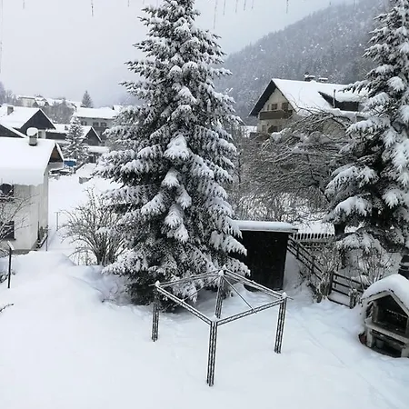 Rododendro 10 * Tarvisio