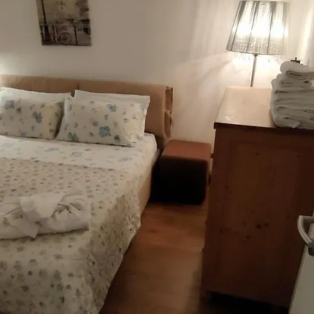 Rododendro 10 * Tarvisio