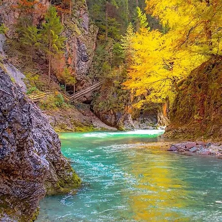 Apartman Rododendro 10 *