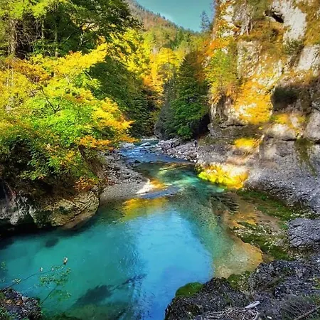 Daire Rododendro 10 *